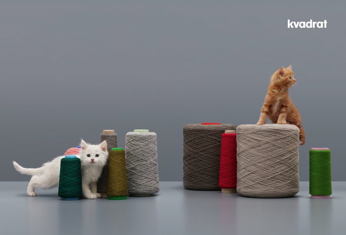 Kvadrat – Kittens, 2016 (Campaign), image 4