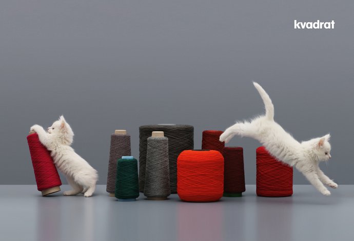 Kvadrat – Kittens, 2016 (Campaign), image 7