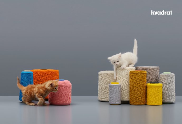 Kvadrat – Kittens, 2016 (Campaign), image 6
