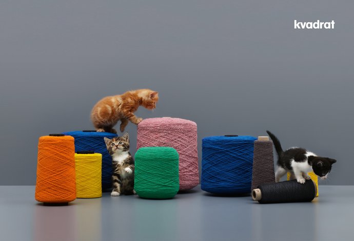 Kvadrat – Kittens, 2016 (Campaign), image 3