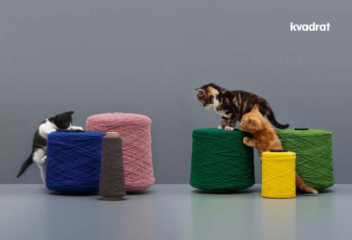Kvadrat – Kittens, 2016 (Campaign), image 2
