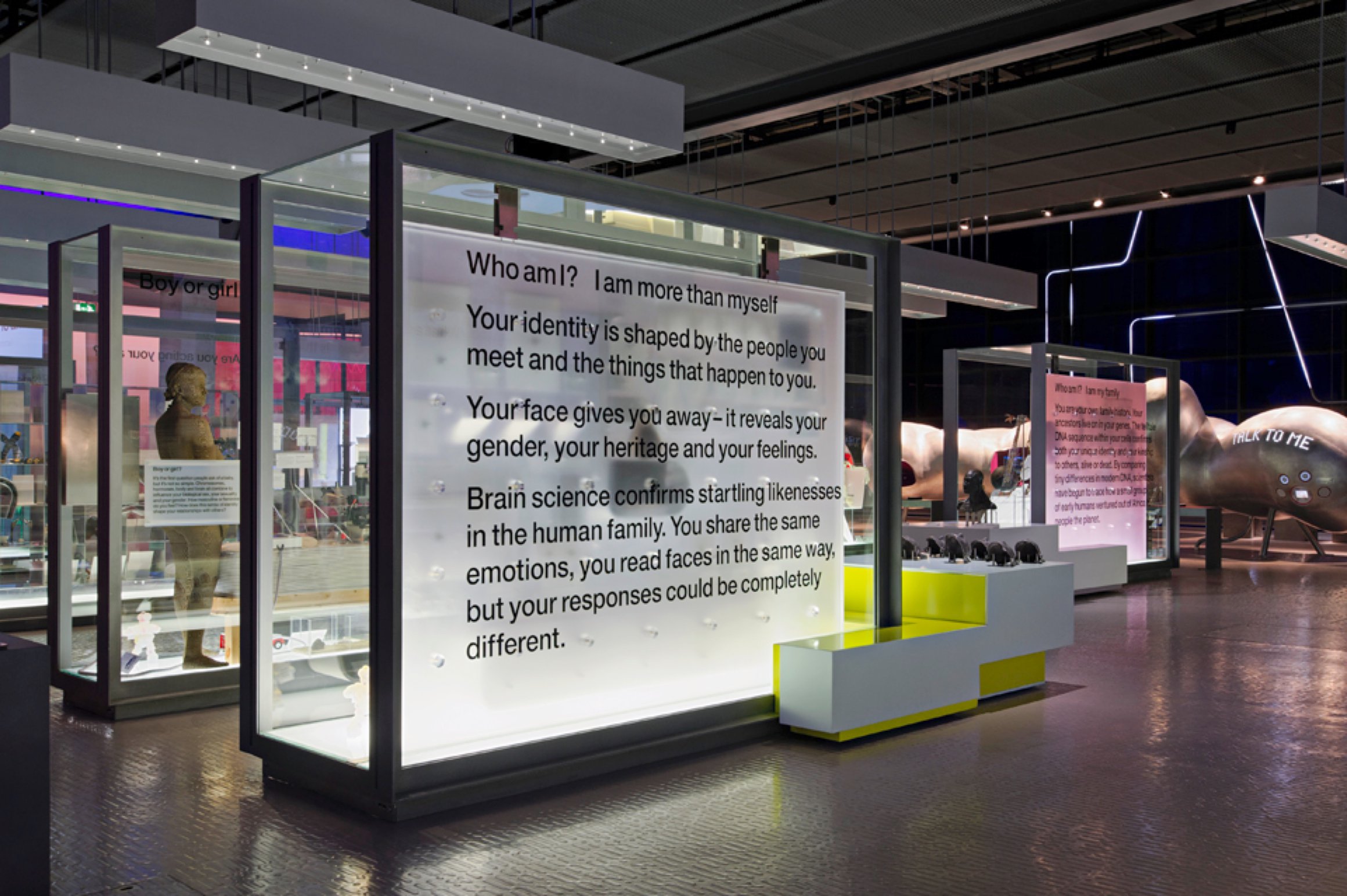 Science Museum – Who am I?, 2010 (Exhibition) | Graphic Thought Facility